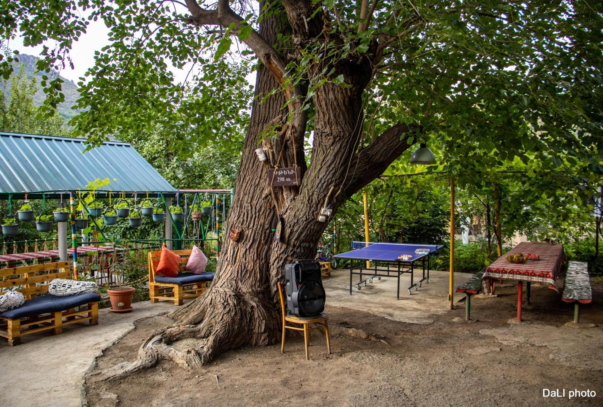 Tereza Glamping Hotel Sanain Exterior foto